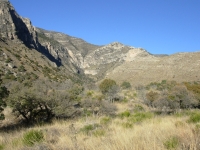 Guadalupe NP
